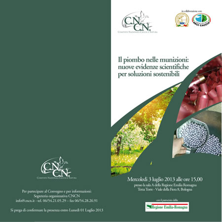 convegno_bologna_invito_06-2013_3-01