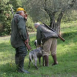 cacciatori con cane