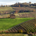 campagna