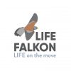 Life Falcon logo