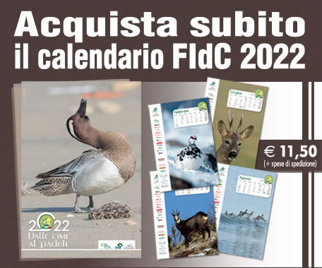 Calendario FiDC 2022