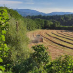 Trattore in un campo agricolo
