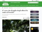Screenshot sito ANSA