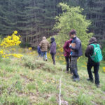 Squadra di rilievo vegetazione al lavoro