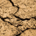 Zolle di terra arida