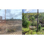 Fotografie di ambiente naturale compromesso