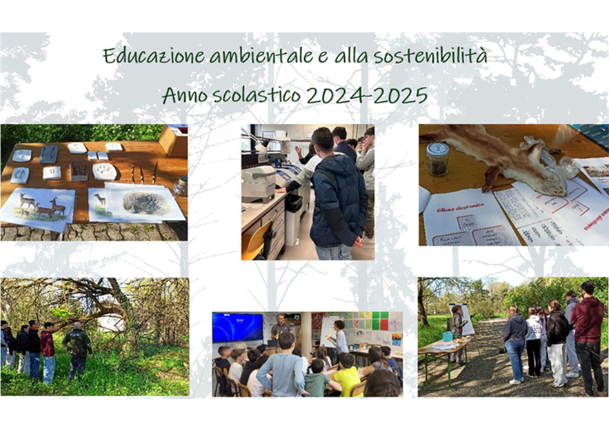 Educazione ambientale alla sostenibilità