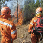 Incendi regione Toscana