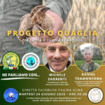 Progetto quaglia